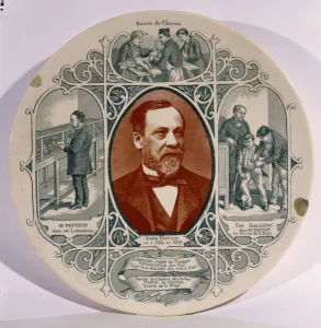 Plate with a photograph of Louis Pasteur (1822-95) by Pierre Petit (1832-1909) Plate with a photograph of Louis Pasteur (1822-95) by Pierre Petit (1832-1909)