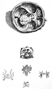 The Plates from the Seventh Book of the De Humani Corporis Fabrica The Plates from the Seventh Book of the De Humani Corporis Fabrica