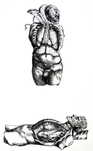 The Plates from the Sixth Book of the De Humani Corporis Fabrica The Plates from the Sixth Book of the De Humani Corporis Fabrica