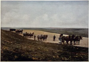 Ploughing in the Manitoba Plains (Canada), late 19th century Ploughing in the Manitoba Plains (Canada), late 19th century