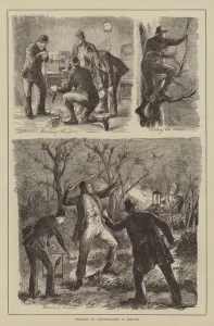 Poaching by Lantern-Light in Ireland (engraving) Poaching by Lantern-Light in Ireland (engraving)