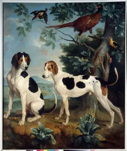 Pompee and Florissant, the dogs of Louis XIV (1638-1715) Pompee and Florissant, the dogs of Louis XIV (1638-1715)