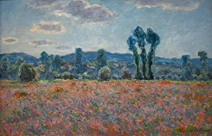 Poppy Field, 1890-1891 ( Oil on canvas) Poppy Field, 1890-1891 ( Oil on canvas)