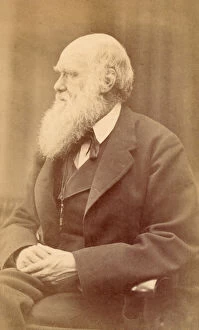 Portrait of Charles Darwin at Age 72, c.1871 (albumen print)
