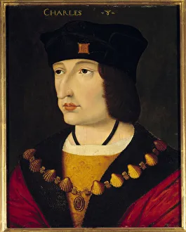 Portrait of Charles VIII (1470 - 1498) King of France son of Louis XI Portrait of Charles VIII (1470 - 1498) King of France son of Louis XI