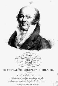 Portrait of Etienne Geoffroy Saint-Hilaire (1722-1844) (engraving) (b/w photo) Portrait of Etienne Geoffroy Saint-Hilaire (1722-1844) (engraving) (b/w photo)