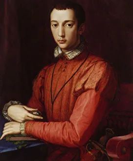 Portrait of Francesco I de Medici (oil on panel) Portrait of Francesco I de Medici (oil on panel)