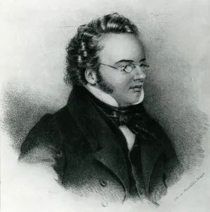 Portrait of Franz Schubert (1797-1828) (engraving) Portrait of Franz Schubert (1797-1828) (engraving)