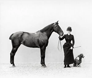 Portrait of Miss Walsh with a horse and a miniature poodle at Villa di Montefonte