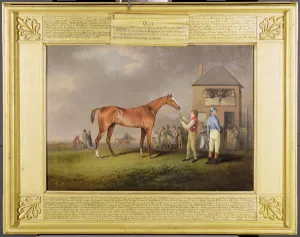Portrait of Quiz, the property of Lord Rous, after his last race at Newmarket Portrait of Quiz, the property of Lord Rous, after his last race at Newmarket