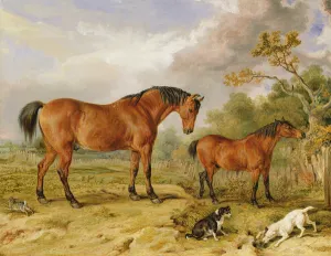 Portrait of Reformer, Blucher, Tory and Crib, the Property of Rowland Alston, Esq Portrait of Reformer, Blucher, Tory and Crib, the Property of Rowland Alston, Esq
