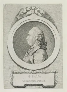 Portrait study of George Stubbs (1724-1806) (soft-ground etching and engraving) Portrait study of George Stubbs (1724-1806) (soft-ground etching and engraving)