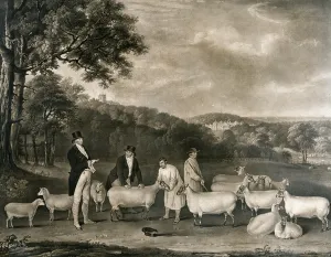 Portrait of Thomas William Coke, Esq. (1752-1842) inspecting some of his South Down sheep Portrait of Thomas William Coke, Esq. (1752-1842) inspecting some of his South Down sheep
