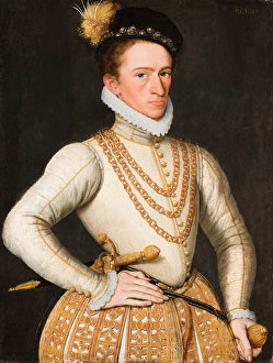 Portrait of an unknown French Nobleman, 1560-9 (oil on panel) Portrait of an unknown French Nobleman, 1560-9 (oil on panel)