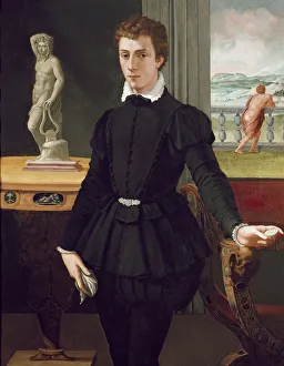 Portrait of a Young Man, post 1560 (oil on panel) Portrait of a Young Man, post 1560 (oil on panel)