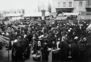 Common Life Gallery: The Poultry Market, Pre-en-Pail, France, c. 1900 (b/w photo)