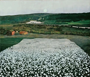 'Prairie de fleurs dans le Nord' Peinture de Harald Sohlberg(1869-1935) 1905 National Museum of Art