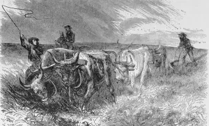 The Prairie Sod Plow, illustration from Harpers Weekly, 1868 The Prairie Sod Plow, illustration from Harpers Weekly, 1868
