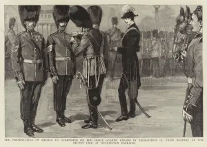 Wellington Barracks Gallery: The Presentation of Medals to Guardsmen on the Horse Guards Parade in Recognition of their Bravery