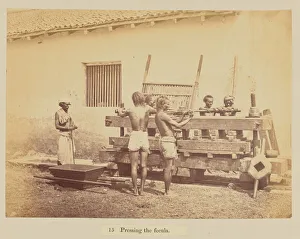 Pressing Gallery: Pressing the fecula, 1877 (albumen silver print)