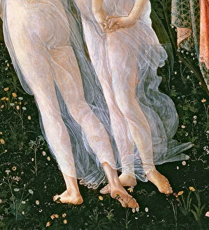Zephyr Gallery: Primavera, c.1478, (tempera on panel) (detail of 558)