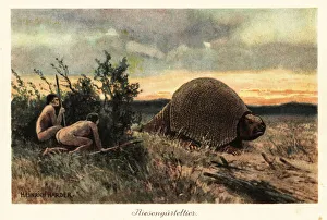 Primitive men with spears hunting a glyptodon. 1908 (illustration) Primitive men with spears hunting a glyptodon. 1908 (illustration)