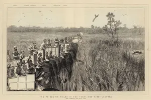 The Prince of Wales in the Terai, the First Leopard (engraving) The Prince of Wales in the Terai, the First Leopard (engraving)