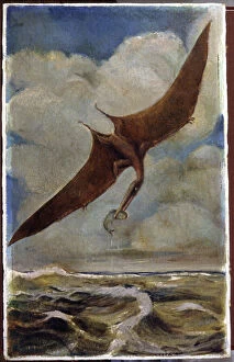 A pterodactyl. c.1880 (gouache)