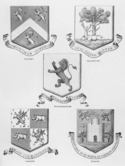 Longford Gallery: Public arms: Anglesey; Selkirkshire; Montgomeryshire; Longford; Stirling (engraving)