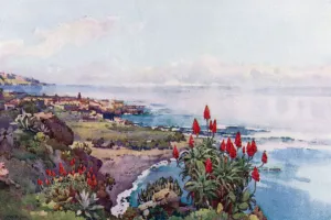 Ella Du Cane Gallery: Puerto Orotava (colour litho)