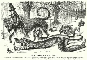 Punch cartoon: Dog Fashions for 1889 (engraving) Punch cartoon: Dog Fashions for 1889 (engraving)