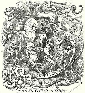 Biologist Gallery: Punch cartoon: Man is but a Worm - Charles Darwins Theory of Evolution (engraving)