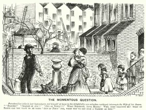 Suburbia Gallery: Punch cartoon: The Momentous Question (engraving)