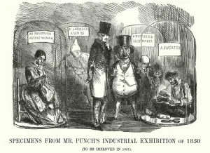 Punch cartoon: Specimens from Mr Punch's Industrial Exhibition of 1850 (engraving) Punch cartoon: Specimens from Mr Punch's Industrial Exhibition of 1850 (engraving)