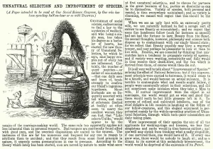 Punch cartoon: Unnatural Selection and Improvement of Species - Charles Darwin' Punch cartoon: Unnatural Selection and Improvement of Species - Charles Darwin'