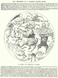 Punch cartoon: The Wonders of a London Water Drop (engraving) Punch cartoon: The Wonders of a London Water Drop (engraving)