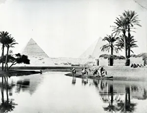 Pyramids of Khufa and Khafre from the Nile Floods, c.1880 (b/w photo) Pyramids of Khufa and Khafre from the Nile Floods, c.1880 (b/w photo)