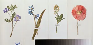 Quatre feuilles de papier a lettre (fleurs des champs) - Four sheets of writing paper - Oeuvre de Vladimir Pavlovich Quatre feuilles de papier a lettre (fleurs des champs) - Four sheets of writing paper - Oeuvre de Vladimir Pavlovich
