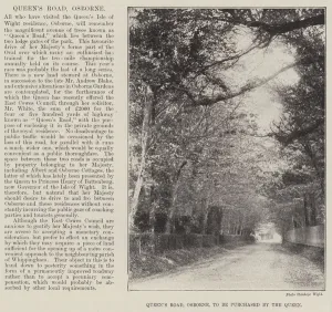 Queens Road Gallery: Queens Road, Osborne (engraving)