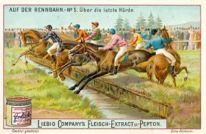 At the racecourse: over the last fence (chromolitho) At the racecourse: over the last fence (chromolitho)