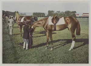 Racehorses at Deauville, France (colour photo) Racehorses at Deauville, France (colour photo)