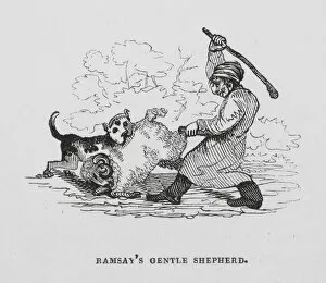 Ramsay's Gentle Shepherd (engraving)