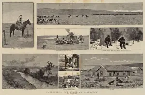 Ranching in the Canadian North-West (engraving) Ranching in the Canadian North-West (engraving)