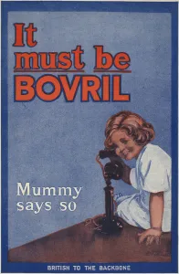 Rear cover of the Bovril Handy book and diary of the war (colour litho) Rear cover of the Bovril Handy book and diary of the war (colour litho)