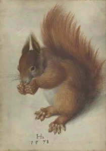 Red Squirrel, 1578 (w/c and gouache on parchment) Red Squirrel, 1578 (w/c and gouache on parchment)
