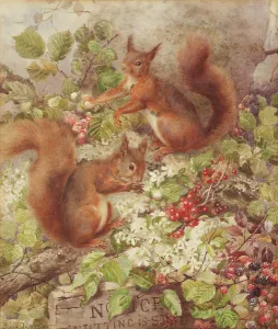 Red Squirrels Gathering Fruits and Nuts (w/c on paper) Red Squirrels Gathering Fruits and Nuts (w/c on paper)