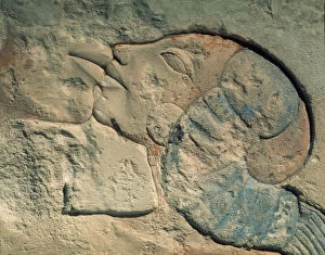Detail of relief showing Nefertiti kissing her daughter, perhaps Merytaten
