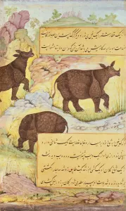 Rhinoceros, illustration from the Baburnama (The Memoirs of Babur) 1589-90 Rhinoceros, illustration from the Baburnama (The Memoirs of Babur) 1589-90