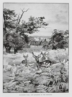 Richmond Park and Kingston in the distance (litho) Richmond Park and Kingston in the distance (litho)
