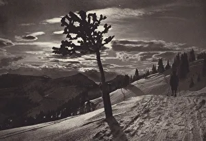 Rigi Kaltbad, Mondnacht im Winter (b/w photo) Rigi Kaltbad, Mondnacht im Winter (b/w photo)